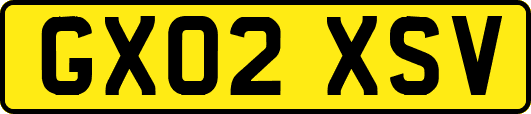 GX02XSV