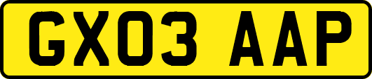GX03AAP