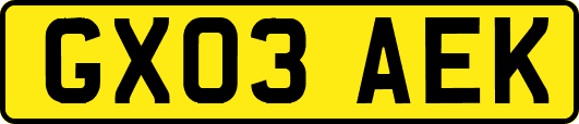 GX03AEK