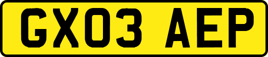 GX03AEP