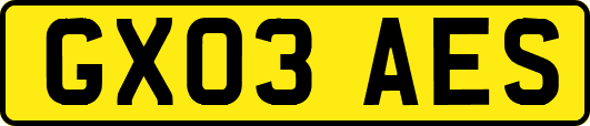 GX03AES