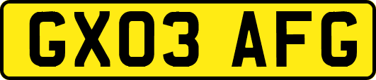 GX03AFG