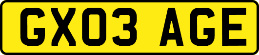 GX03AGE