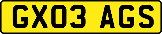 GX03AGS