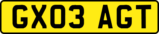 GX03AGT