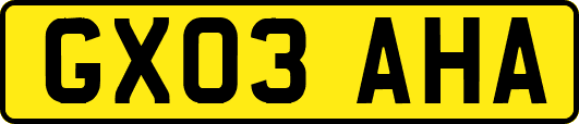 GX03AHA