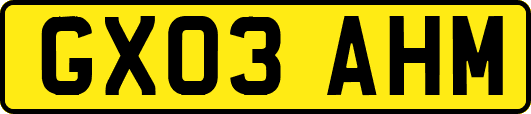 GX03AHM