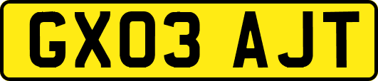 GX03AJT