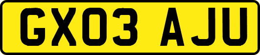 GX03AJU