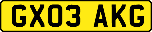 GX03AKG