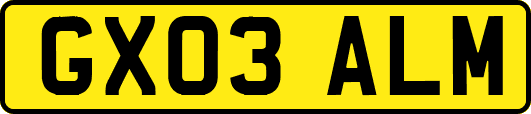 GX03ALM