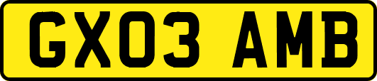 GX03AMB