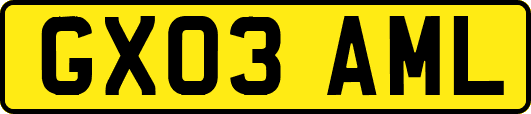 GX03AML