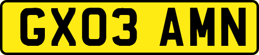 GX03AMN