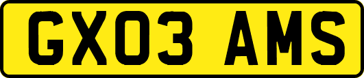 GX03AMS