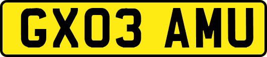 GX03AMU