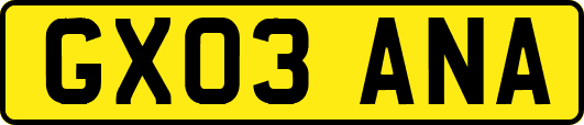 GX03ANA