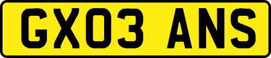 GX03ANS