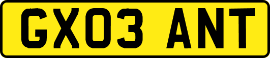 GX03ANT