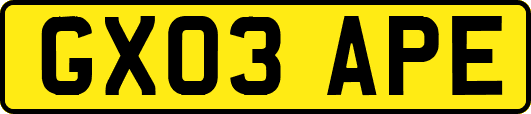 GX03APE