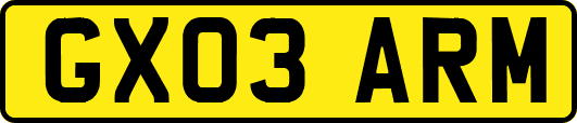 GX03ARM