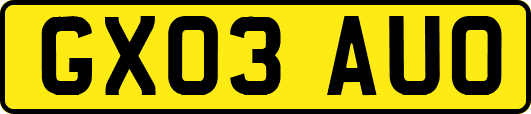 GX03AUO