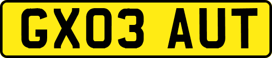 GX03AUT