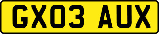 GX03AUX