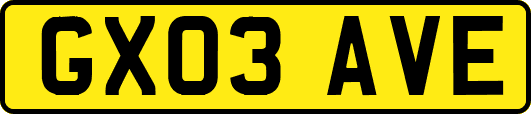 GX03AVE