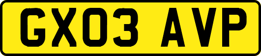 GX03AVP