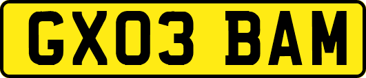 GX03BAM