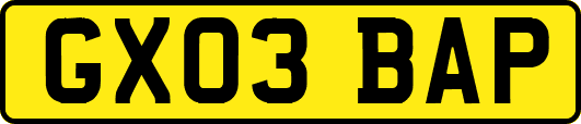 GX03BAP