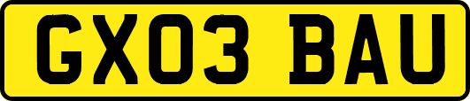 GX03BAU