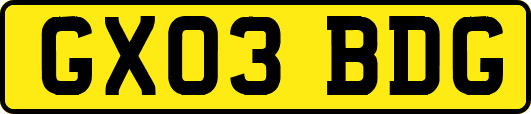GX03BDG