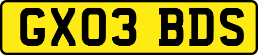 GX03BDS