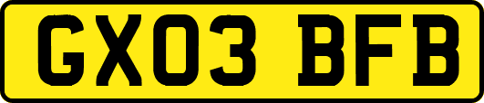 GX03BFB