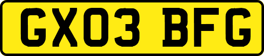 GX03BFG
