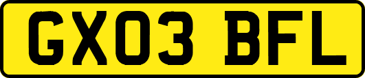GX03BFL