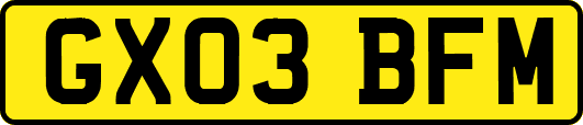 GX03BFM