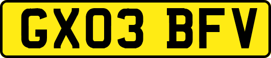 GX03BFV