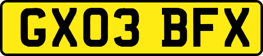 GX03BFX