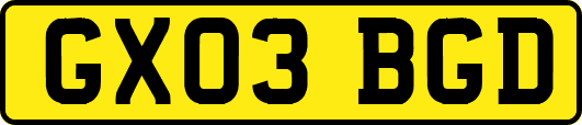 GX03BGD