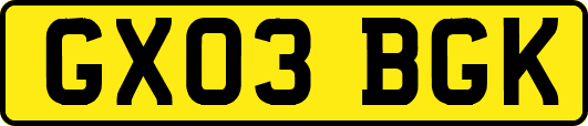 GX03BGK