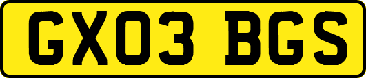 GX03BGS