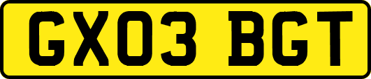 GX03BGT