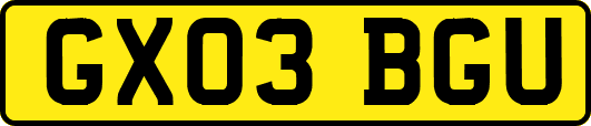 GX03BGU