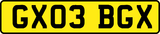 GX03BGX