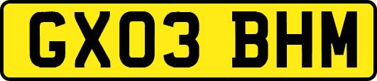 GX03BHM