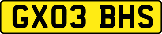 GX03BHS