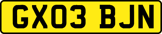 GX03BJN